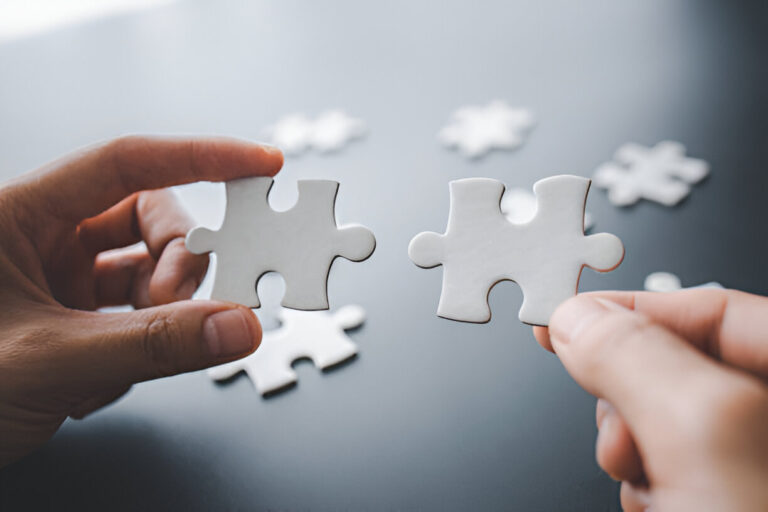 What is the problem the Subhhayani Fincare is solving ?